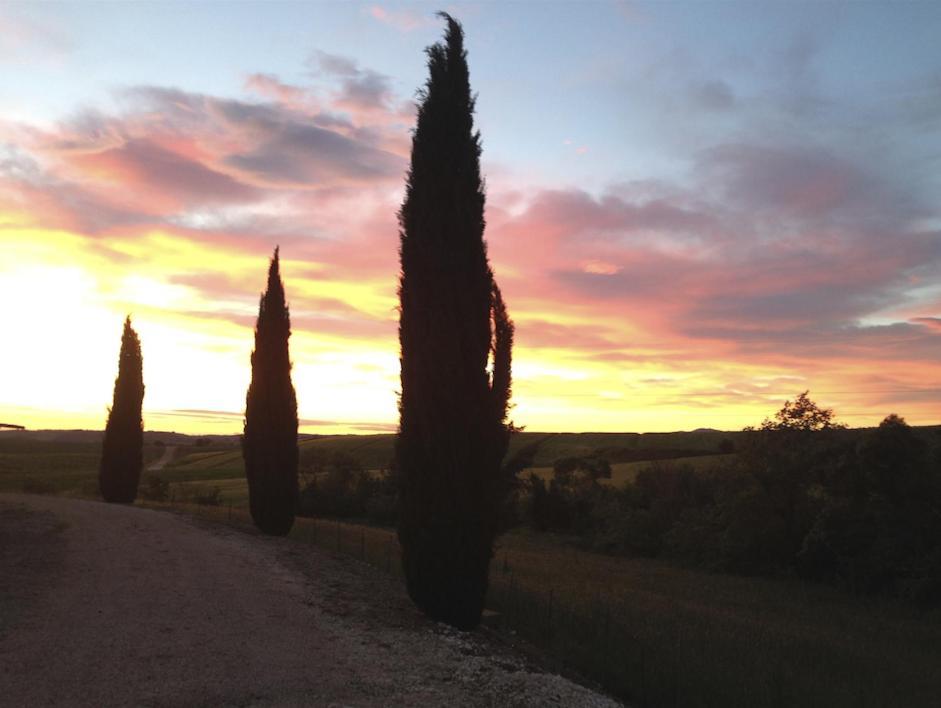Agriturismo Il Raduno - Max Lelli Marsiliana Exterior photo