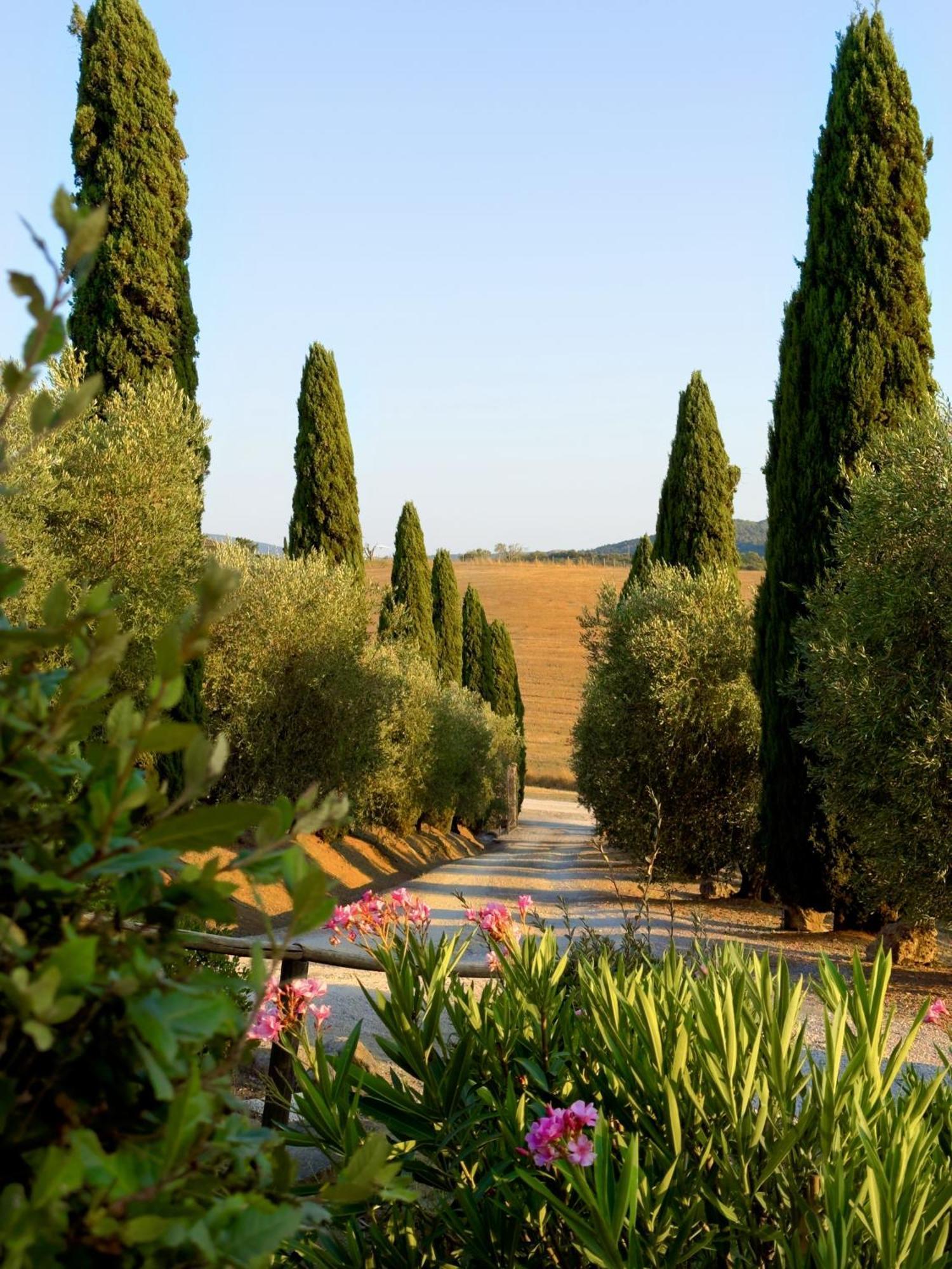 Agriturismo Il Raduno - Max Lelli Marsiliana Exterior photo